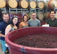 Hunter Valley Small Group Wine Gin Cheese  Chocolate Tour - E Caravan Parks