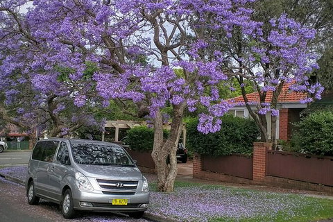 Central Coast To Sydney/ Sydney Airport Transfers - E Caravan Parks 0