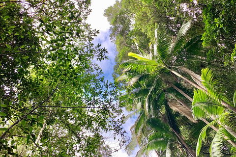 Guided E Bike Tour - Unicorn Falls & National Park - E Caravan Parks 5