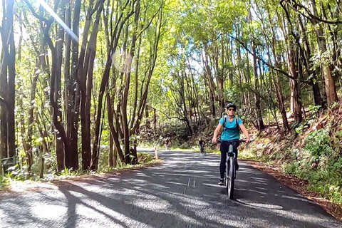 Guided E Bike Tour - Unicorn Falls & National Park - E Caravan Parks 16