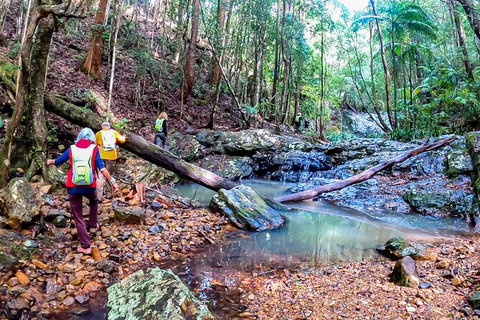 Guided E Bike Tour - Unicorn Falls & National Park - E Caravan Parks 17