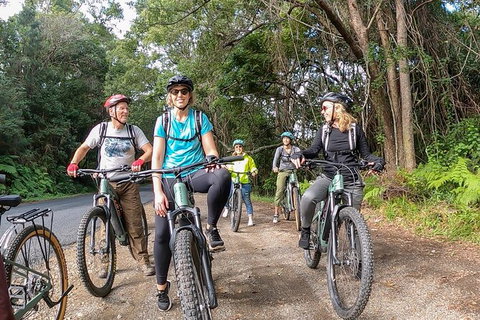 Guided E Bike Tour - Unicorn Falls & National Park - E Caravan Parks 11