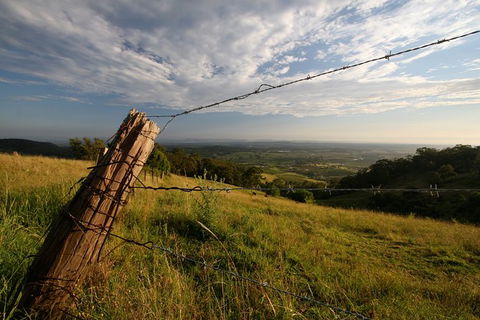 Private Full-Day Wine Tour In Hunter Valley - E Caravan Parks 3