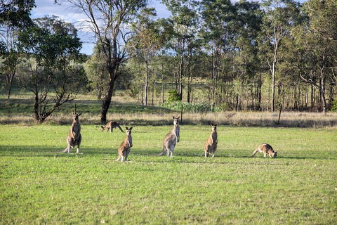 Private Full-Day Wine Tour In Hunter Valley - E Caravan Parks 2