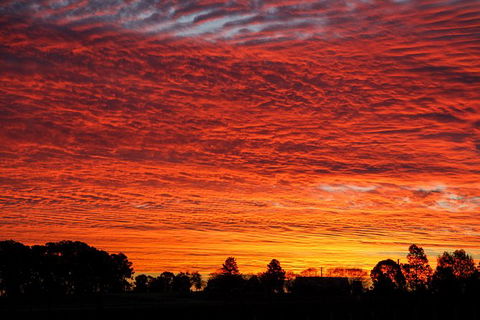 Private Full-Day Wine Tour In Hunter Valley - E Caravan Parks 0