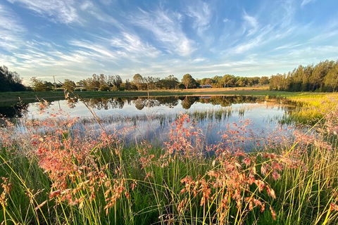 Private Full-Day Wine Tour In Hunter Valley - E Caravan Parks 5