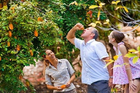 Full-Day Guided Tour Byron Bay With Pickup - E Caravan Parks 1