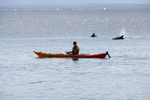 Half-Day Jervis Bay Sea Kayak Tour - E Caravan Parks 4