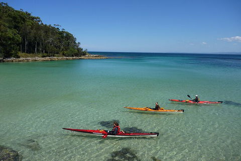 Half-Day Jervis Bay Sea Kayak Tour - E Caravan Parks 3