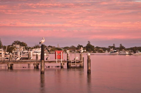Tea Gardens And Hawks Nest Beach Bus Guided Tour - E Caravan Parks 1