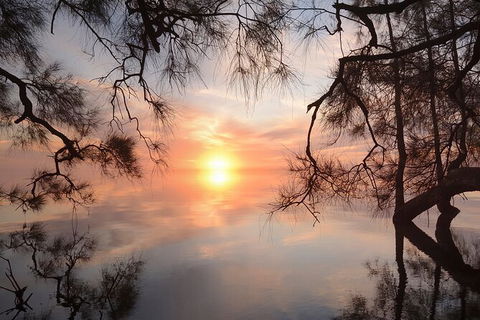 Tea Gardens And Hawks Nest Beach Bus Guided Tour - E Caravan Parks 8