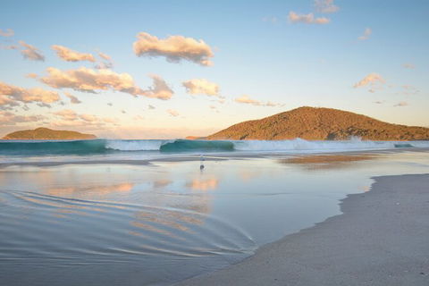 Tea Gardens And Hawks Nest Beach Bus Guided Tour - E Caravan Parks 11