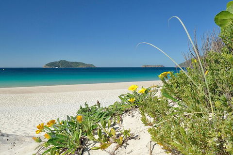 Tea Gardens And Hawks Nest Beach Bus Guided Tour - E Caravan Parks 0