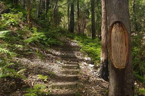 Tea Gardens And Hawks Nest Beach Bus Guided Tour - E Caravan Parks 9