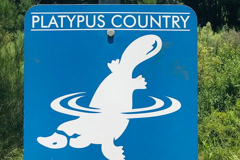 Tea Gardens And Hawks Nest Beach Bus Guided Tour - E Caravan Parks 6