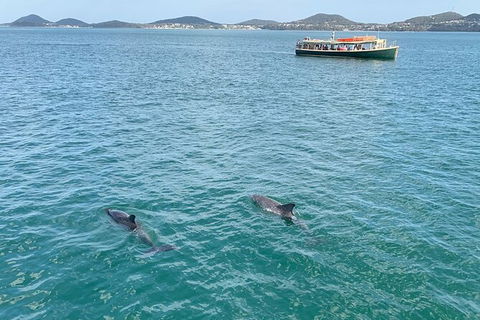 Tea Gardens And Hawks Nest Beach Bus Guided Tour - E Caravan Parks 12