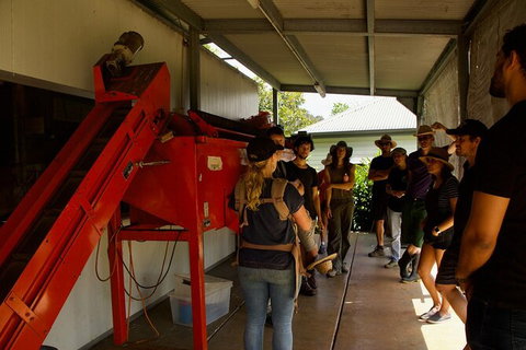 Pecan Farm Tour And Workshop, Byron Bay Hinterland - E Caravan Parks 4