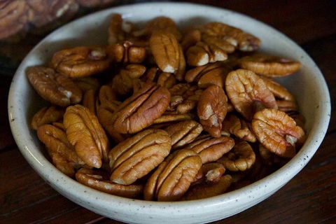 Pecan Farm Tour And Workshop, Byron Bay Hinterland - E Caravan Parks 5