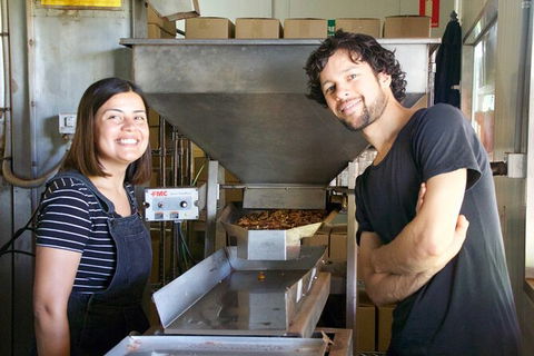 Pecan Farm Tour And Workshop, Byron Bay Hinterland - E Caravan Parks 7