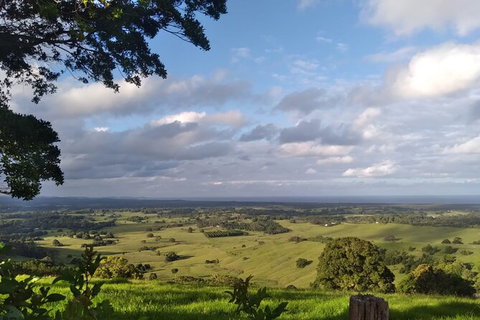 Pecan Farm Tour And Workshop, Byron Bay Hinterland - E Caravan Parks 1