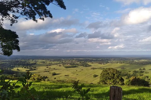 Coffee Farm Tour And Workshop, Byron Bay Hinterland - E Caravan Parks 4
