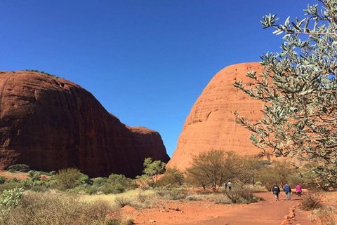 5-Hour Kata Tjuta Sunrise Tour From Ayers Rock With Breakfast - E Caravan Parks 2
