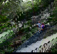 4-Day Cairns with Great Barrier Reef and Daintree Rainforest - E Caravan Parks