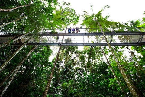 Daintree Discovery Centre Family Pass Ticket - E Caravan Parks 3