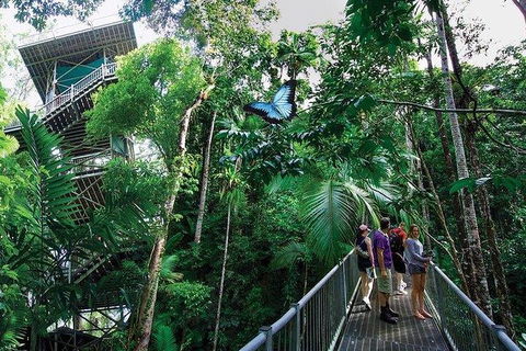 Daintree Discovery Centre Family Pass Ticket - E Caravan Parks 2