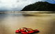 Daintree And Cape Tribulation Full Day Guided Tour - thumb 7