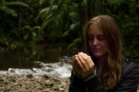 Daintree And Cape Tribulation Full Day Guided Tour - E Caravan Parks 4