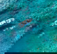 Premium Private Charter - E Caravan Parks