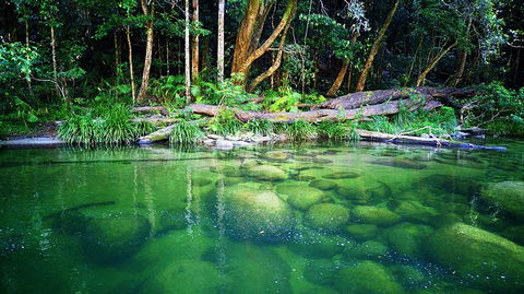 Cairns Adventure Package- 4 Tours In 3 Days! - E Caravan Parks 6