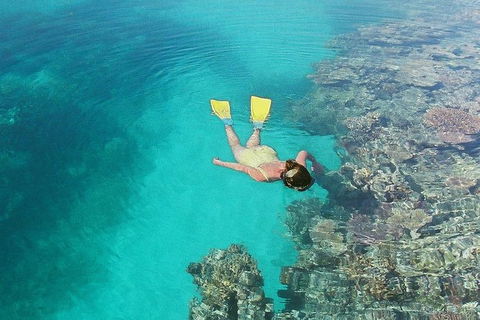 Great Barrier Reef Private Expedition Cruise (min 4 Day Max 8 Guests) - E Caravan Parks 6