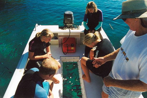 Great Barrier Reef Private Expedition Cruise (min 4 Day Max 8 Guests) - E Caravan Parks 1