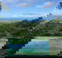 Daintree Luxury Limousine Tour - Full Day - E Caravan Parks