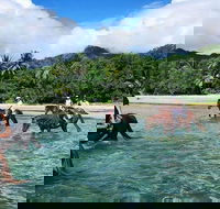 Afternoon Beach Horse Ride in Cape Tribulation - E Caravan Parks