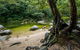 Port Douglas Daintree National Park Boutique Full-Day Tour - thumb 5