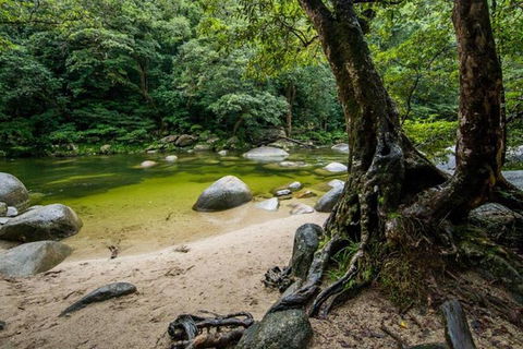 Port Douglas Daintree National Park Boutique Full-Day Tour - E Caravan Parks 5