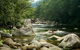 Port Douglas Daintree National Park Boutique Full-Day Tour - thumb 2