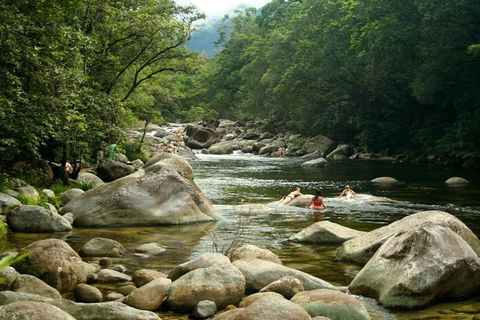 Port Douglas Daintree National Park Boutique Full-Day Tour - E Caravan Parks 2