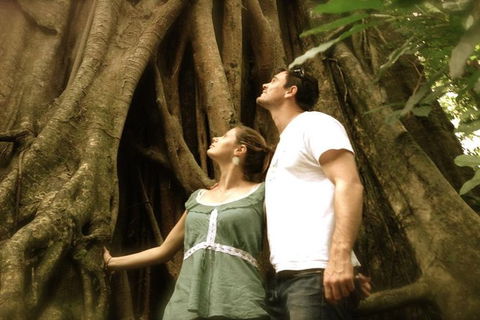 Port Douglas Daintree National Park Boutique Full-Day Tour - E Caravan Parks 3
