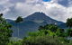 Port Douglas Daintree National Park Boutique Full-Day Tour - thumb 0