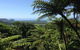 Port Douglas Daintree National Park Boutique Full-Day Tour - thumb 1
