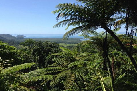 Port Douglas Daintree National Park Boutique Full-Day Tour - E Caravan Parks 1