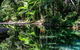 Port Douglas Daintree National Park Boutique Full-Day Tour - thumb 4
