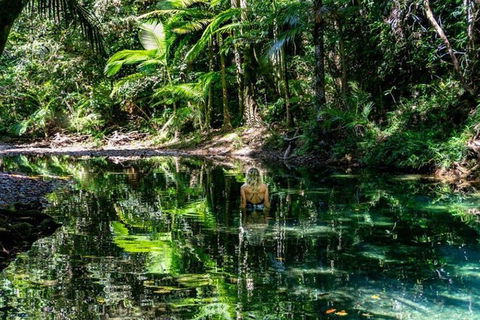 Port Douglas Daintree National Park Boutique Full-Day Tour - E Caravan Parks 4