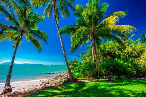 SHUTTLE - Port Douglas And Craiglie Return Transfer - E Caravan Parks 2