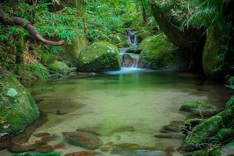 SHUTTLE - Mossman Gorge & Cooya Beach From Port Douglas (Return Transfer) - E Caravan Parks 2