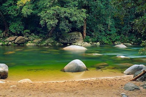 SHUTTLE - Mossman Gorge & Cooya Beach From Port Douglas (Return Transfer) - E Caravan Parks 1